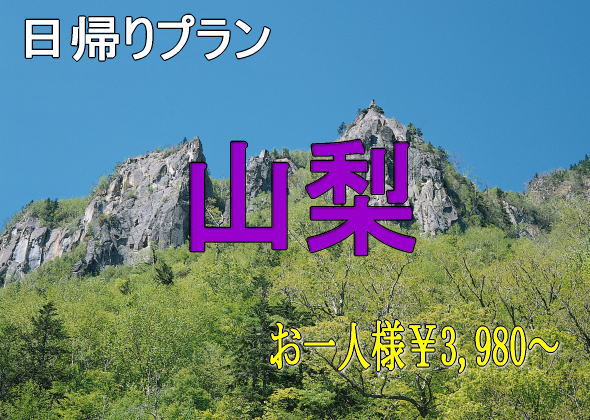 貸切バス+観光付プラン　　日帰りプラン　山梨