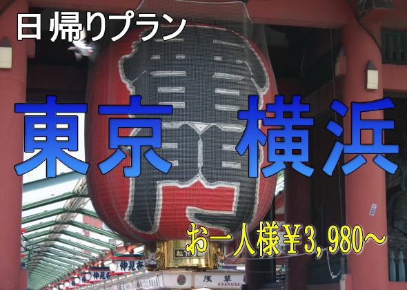 貸切バス+観光付プラン 日帰りプラン 東京・横浜
