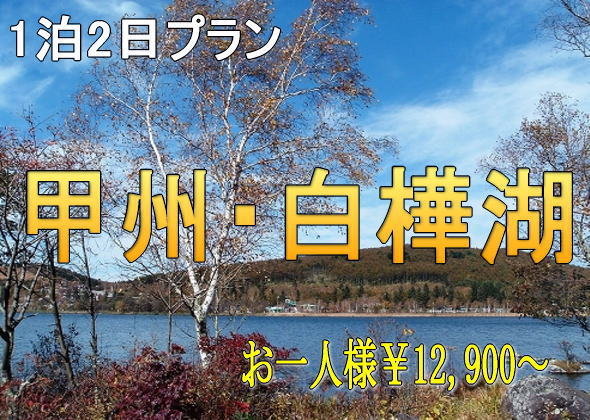 貸切バス+観光付プラン　　1泊2日格安プラン　白樺湖2日間