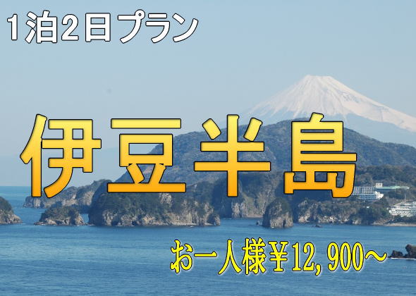 貸切バス+観光付プラン 1泊2日プラン 伊豆半島