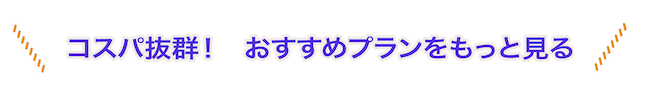 コスパ抜群プランをもっと見る