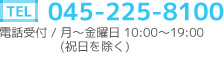 tel 045-225-8100