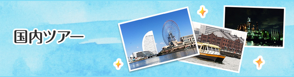 国内ツアー